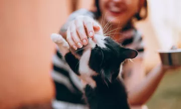 Een vrouw aait een zwart-witte kat