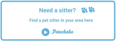 Book a pet sitter