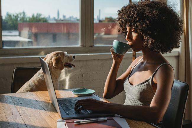 Pet sitter with laptop
