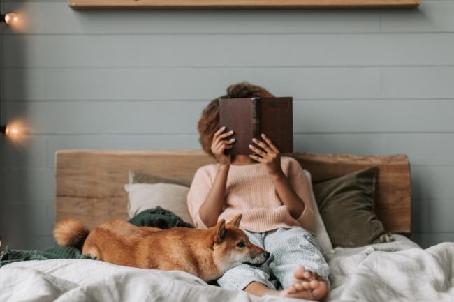 House sitting job - in bed with pet