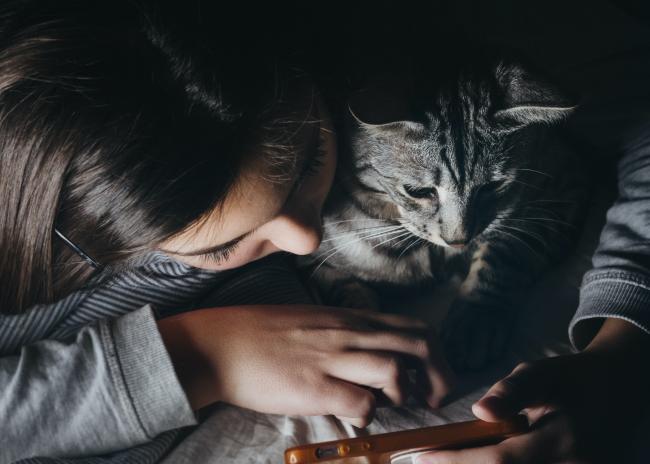 tabby cat with woman looking at phone