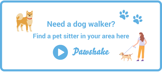 Find a Pawshake dog walker
