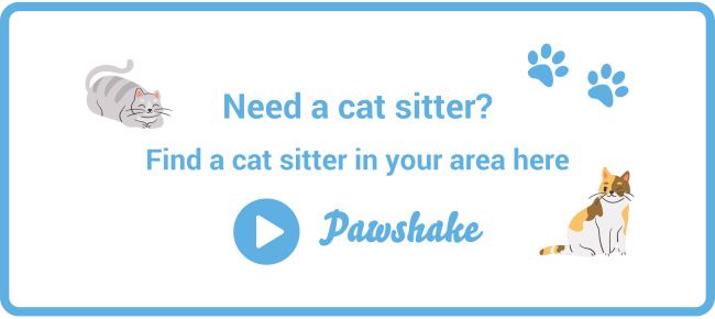 Find a cat sitter