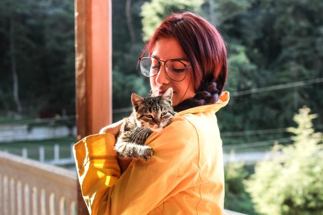 Cat and woman